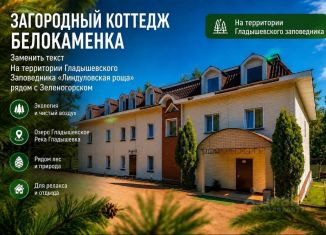 Сдаю дом, 870 м2, Ленинградская область, посёлок Сопки, 1