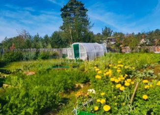 Участок на продажу, 8 сот., Забайкальский край