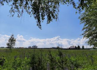 Продаю земельный участок, 10 сот., деревня Тельвяково
