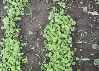 Продам земельный участок, 8 сот., село Старомарьевка