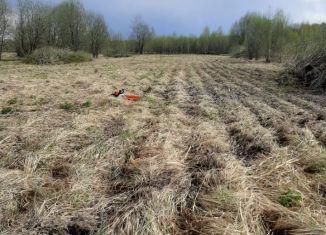 Продаю земельный участок, 15 сот., село Бакшеево, Совхозная улица