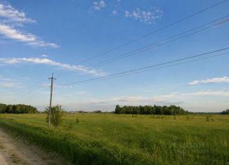 Продаю земельный участок, 225 сот., село Зоркальцево, Совхозная улица, 14