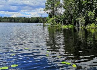 Продаю дом, 25 м2, Карелия, Дачная улица