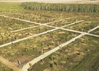Продается земельный участок, 2200 сот., село Пашнино, Молодёжная улица