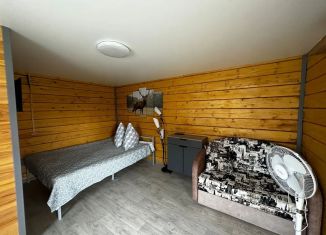 Сдается в аренду дом, 32 м2, Республика Алтай, ДНП Терра, 20
