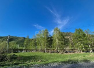 Продается участок, 224 сот., Республика Алтай