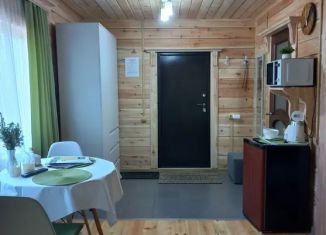 Аренда дома, 30 м2, Республика Алтай, Еловый переулок, 6