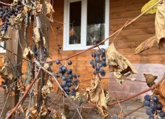 Дача на продажу, 25 м2, Тульская область, ТСН Давыдовское, 206