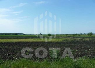 Продам участок, 60 сот., Воронежская область