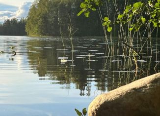 Продажа земельного участка, 171 сот., Карелия, Дачная улица