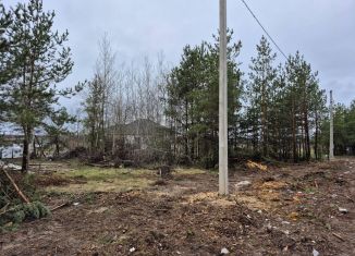 Продается земельный участок, 6 сот., село Новоживотинное