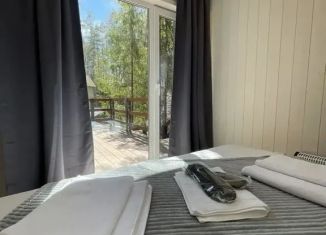 Сдается дом, 44 м2, поселок Ильичёво