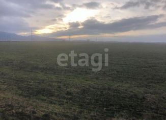 Продаю участок, 254.8 сот., село Абрикосовка