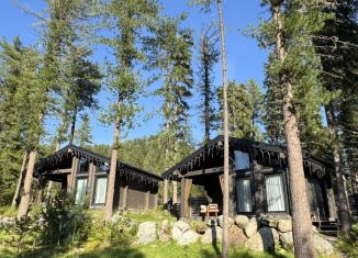 Сдаю в аренду дом, 40 м2, Республика Алтай, Еловый переулок, 11