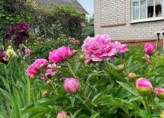 Дача на продажу, 30 м2, Воронежская область, СНТ Берёзка, 285
