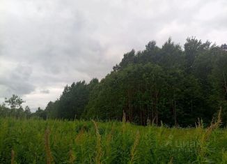 Продается участок, 55 сот., Владимирская область