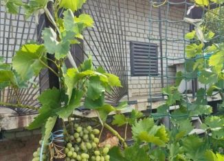 Продам дачу, 60 м2, Саратовская область, СНТ Экономист-2, 13