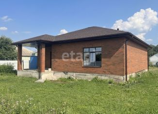 Продаю дом, 110 м2, село Лапыгино, Центральная улица, 13