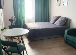 Сдается в аренду квартира студия, 30 м2, Новосибирская область, улица Карла Маркса, 1/2