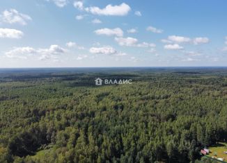 Земельный участок на продажу, 25 сот., Владимирская область