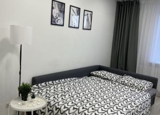 Аренда 1-комнатной квартиры, 40 м2, Миасс, улица 8 Июля, 22
