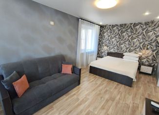 1-ком. квартира в аренду, 32 м2, Челябинск, улица Барбюса, 71В
