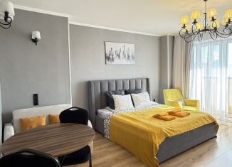 Сдам квартиру студию, 30 м2, Челябинск, улица Блюхера, 3Б