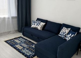 1-ком. квартира в аренду, 41 м2, Миасс, улица 8 Июля, 22