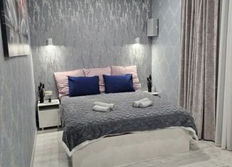 Сдам в аренду однокомнатную квартиру, 25 м2, Самара, Самарская улица, 95А, метро Московская