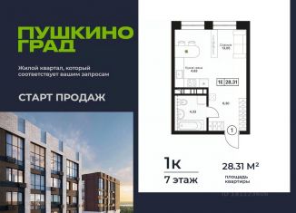 Продажа квартиры студии, 28.31 м2, Пушкино
