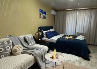 Сдам в аренду однокомнатную квартиру, 45 м2, Камышин, 3-й микрорайон, 7