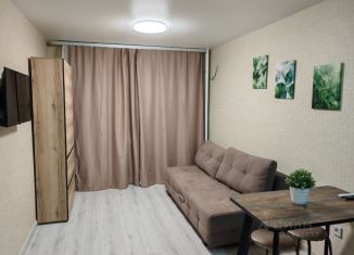 Аренда квартиры студии, 25 м2, Самара, проспект Кирова, 71, Промышленный район
