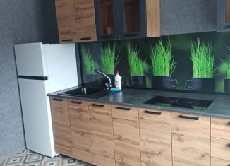 Аренда двухкомнатной квартиры, 51 м2, Архангельская область, проспект Ленина, 172