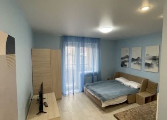 Сдам в аренду квартиру студию, 27 м2, Тверская область, улица Терещенко, 6к2