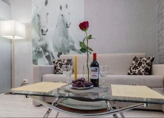 Сдается 1-ком. квартира, 30 м2, Мурманск, переулок Русанова, 5