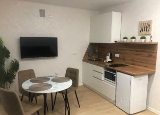 Сдам квартиру студию, 24 м2, Амурская область, улица Василенко, 7