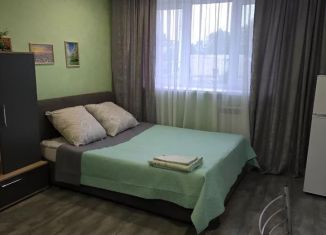 Сдается 2-комнатная квартира, 43 м2, Муром, Московская улица, 105