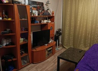 1-ком. квартира на продажу, 29.6 м2, Бердск, Микрорайон, 63