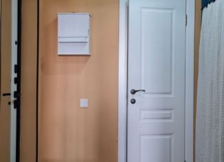 Сдам в аренду однокомнатную квартиру, 38 м2, Самара, проспект Карла Маркса, 231Б, метро Советская