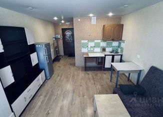 Продам квартиру студию, 23 м2, Ленинградская область, Школьная улица, 11к2