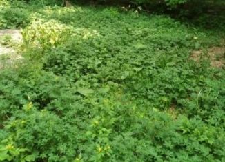 Продается участок, 5.7 сот., Новосибирск