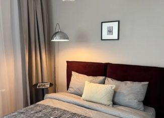 Сдается в аренду 1-ком. квартира, 30 м2, Пермский край, Бершетский переулок, 3
