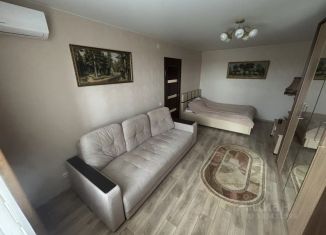 Сдается однокомнатная квартира, 38 м2, Нижегородская область, Добрая улица, 2