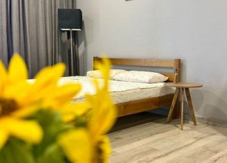 Сдается квартира студия, 30 м2, Батайск, улица Энгельса, 182