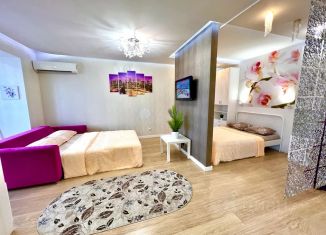 Сдаю в аренду квартиру студию, 54 м2, Самара, улица Советской Армии, 238А, метро Спортивная