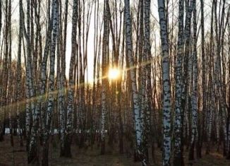 Продаю земельный участок, 150 сот., Тульская область, улица Победы, 6