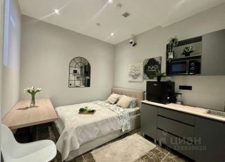 Сдается 1-ком. квартира, 14 м2, Татарстан, улица Карла Маркса, 16А