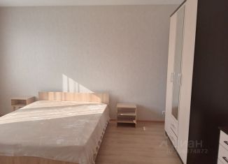 Сдача в аренду 1-ком. квартиры, 31 м2, Бугры, Школьная улица, 6к3