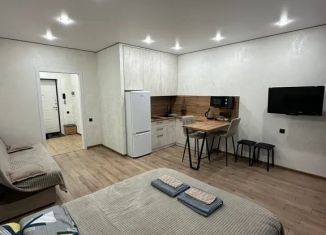 Сдаю в аренду квартиру студию, 33 м2, Татарстан, улица Родины, 26А