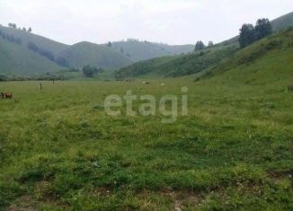 Продается земельный участок, 1280.3 сот., Алтайский край